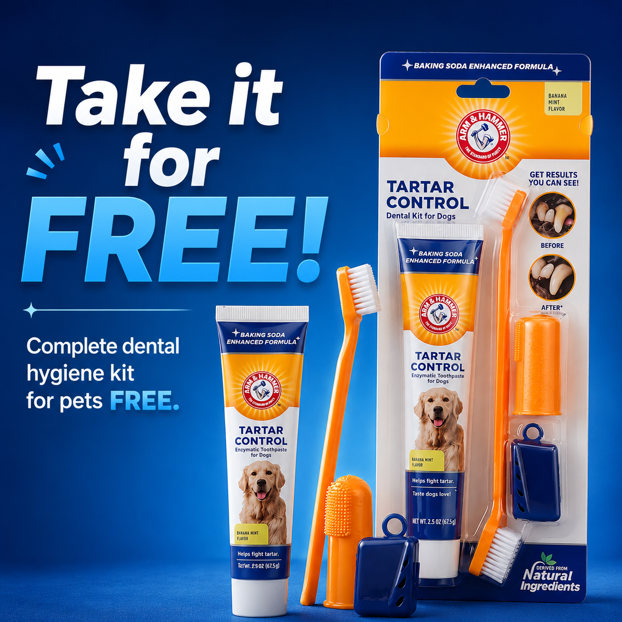 Gumbone — Your Dog's Dental Care