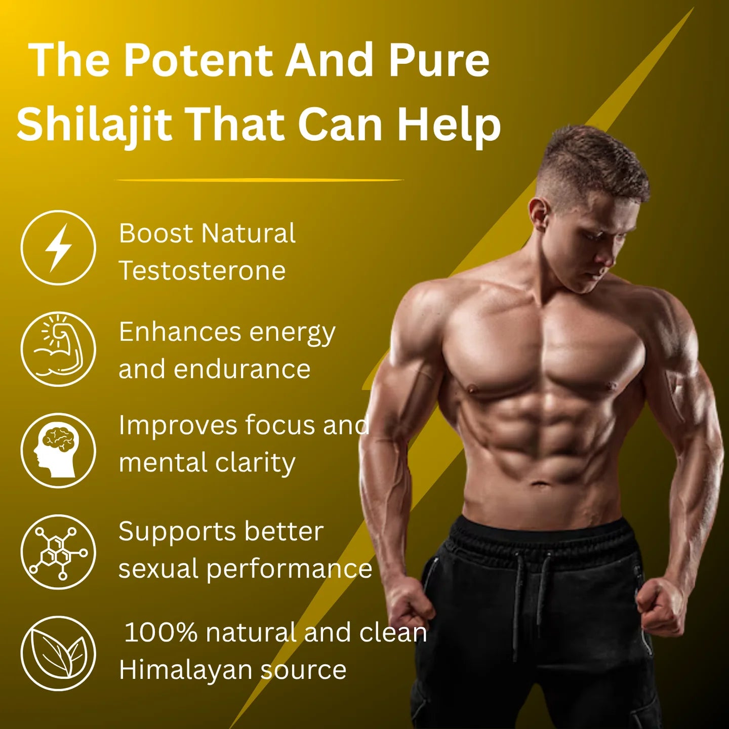 Himalayan Natural Shilajit Gummies
