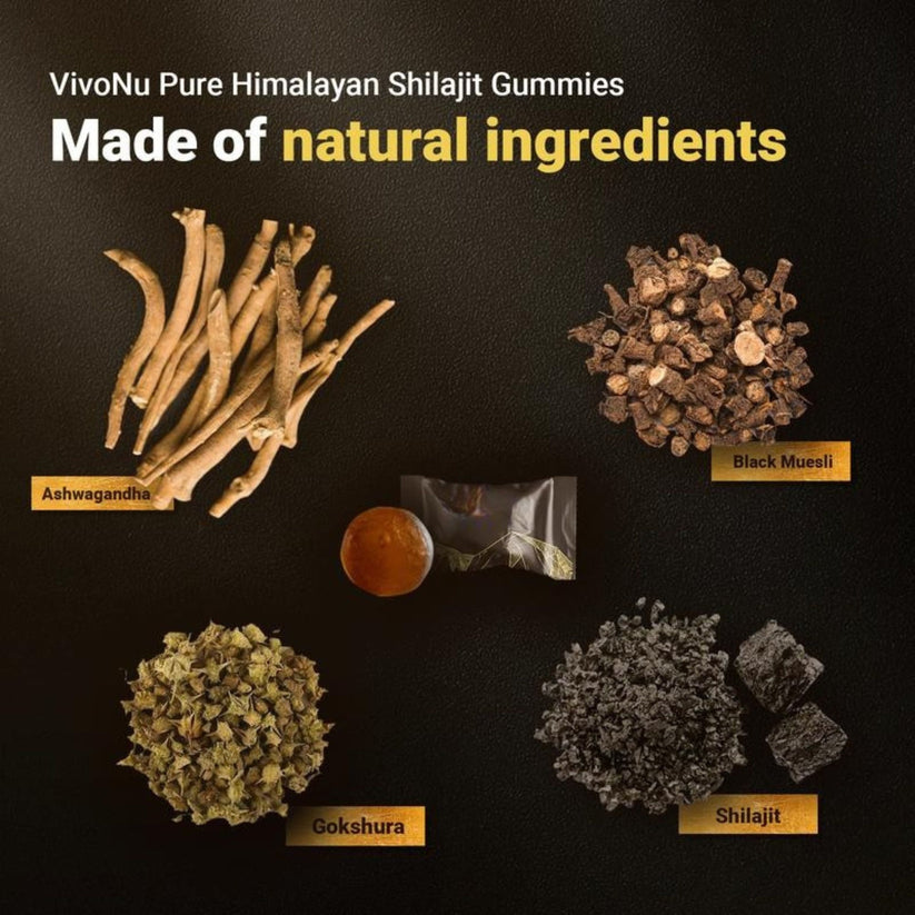 Himalayan Natural Shilajit Gummies