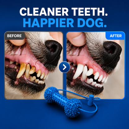 Gumbone — Your Dog's Dental Care
