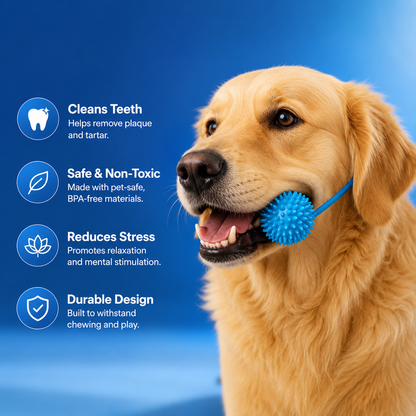 Gumbone — Your Dog's Dental Care